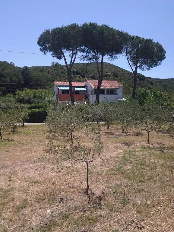 Hotel Rustichello Marina di Campo Exterior foto